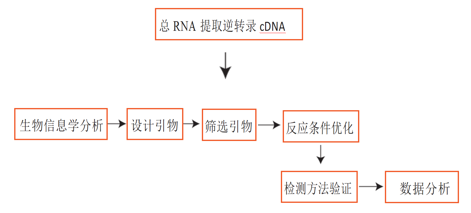 圖片5.png